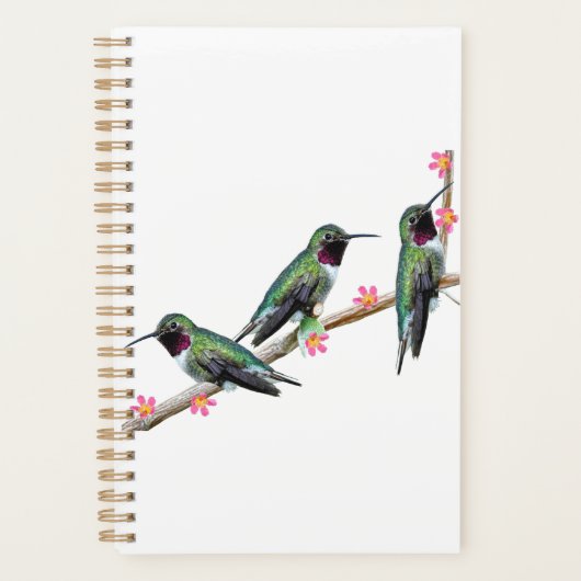 Trois colibris perchés sur une branche Floss Silt (Devant)