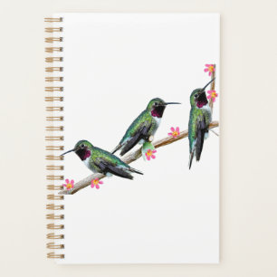 Trois colibris perchés sur une branche Floss Silt