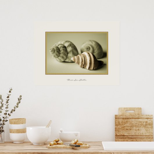 Trois coques de mer ~ Impression photographique (Cuisine)