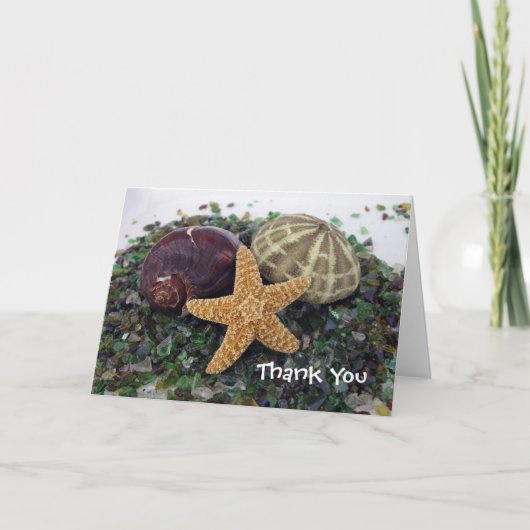 trois coquilles, Merci (Devant)