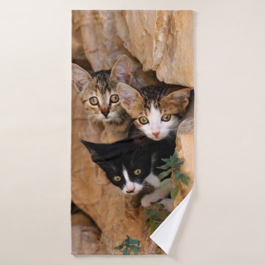 Trois Cute Curieux Chat Kittens Visages Drôle Phot (Serviette de bain)