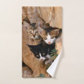 Trois Cute Curieux Chat Kittens Visages Drôle Phot (Serviette à main)