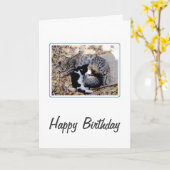 Trois Cutes Chats Coulés Au Sommeil Carte Annivers (Fleur jaune)