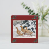 Trois Défilés De Canard Dans La Carte Postale Des  (Debout devant)