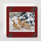 Trois Défilés De Canard Dans La Carte Postale Des  (Devant / Derrière)