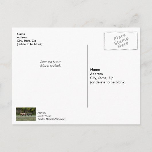 Trois élans mâles combattant Carte postale de reme (Dos)