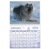 Trois gardiens du calendrier de Hidden Meadow Inn (Jan 2026)