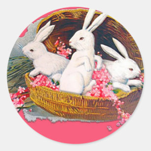 Trois lapins dans le panier Stickers