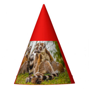 trois lémuriens sur un chapeau de fête