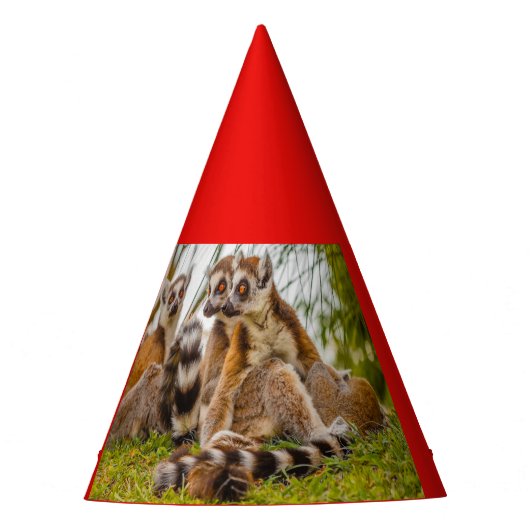 trois lémuriens sur un chapeau de fête (Devant)