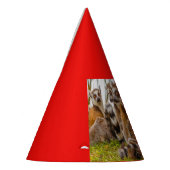 trois lémuriens sur un chapeau de fête (Gauche)