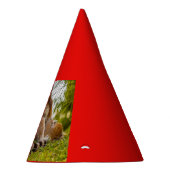 trois lémuriens sur un chapeau de fête (Droite)