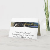 Trois Mares qui courent la carte de voeux de Cheva (Dos)