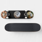 Trois Meerkat Photos, Skateboard complet (Horz)