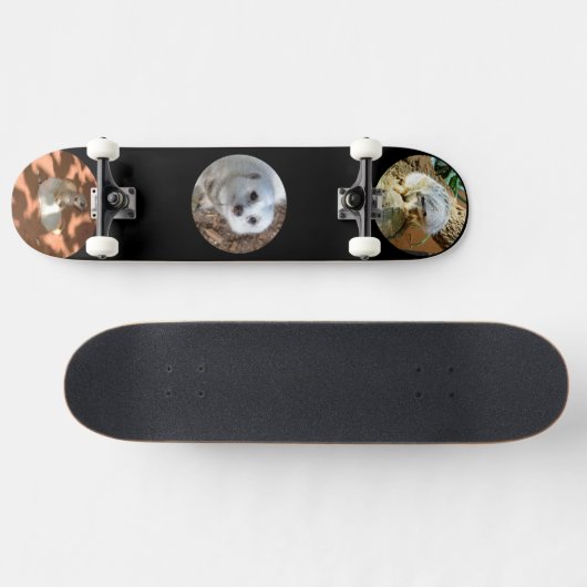 Trois Meerkat Photos, Skateboard complet (Horz)