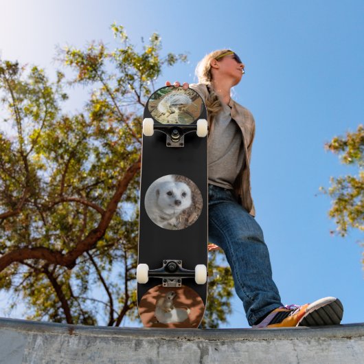 Trois Meerkat Photos, Skateboard complet (Extérieur 1)