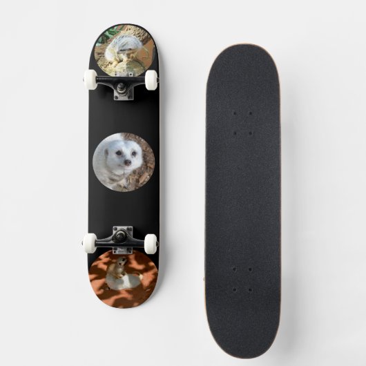 Trois Meerkat Photos, Skateboard complet (Recto)
