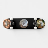 Trois Meerkat Photos, Skateboard complet (Horz)