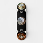 Trois Meerkat Photos, Skateboard complet (Recto)