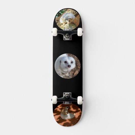 Trois Meerkat Photos, Skateboard complet (Recto)
