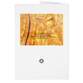 Trois ont dirigé le Naga (Dos)