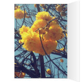 Trois ont dirigé le Naga (Intérieur (Gauche))