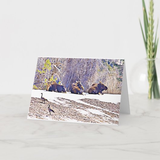 Trois orignaux, carte pour notes (Devant)