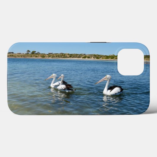 Trois Pélicans Natation, iPhone 13 Coque (Verso (horizontal))