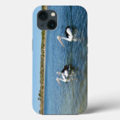 Trois Pélicans Natation, iPhone 13 Coque (Verso)