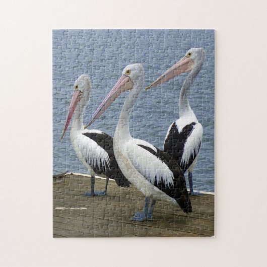 Trois Pélicans sur une Jetée Photo Puzzle (Vertical)