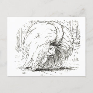 Trois Petits Cochons : La Première Carte Postale P