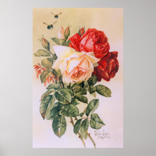 Trois Posters vintage Rose