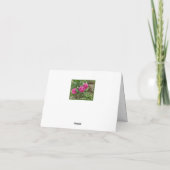 Trois roses roses/Merci ! (Dos)