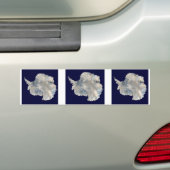 TROIS Stickers Antarctique connectés (En voiture)