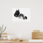 Trois tailles de schnauzers POSTER (Cuisine)