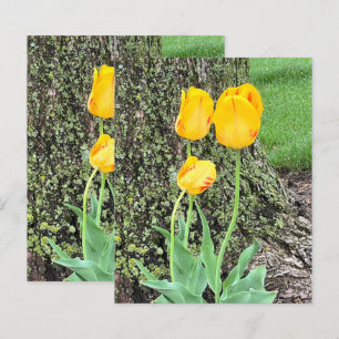 Trois Tulipes Jaunes / Papier Scrapbook