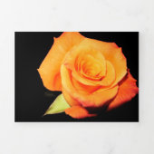 Trois Volets Carte de voeux Rose orange vif (Page de couverture)