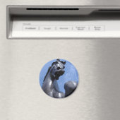 Trojan Horse Magneet (Insitu (Vaatwasser))