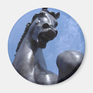 Trojan Horse Magneet