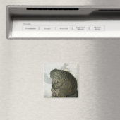 TROLL bij Rest Magneet (Insitu (Vaatwasser))