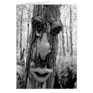 Troll d'arbre sur un arbre Big Cypress.