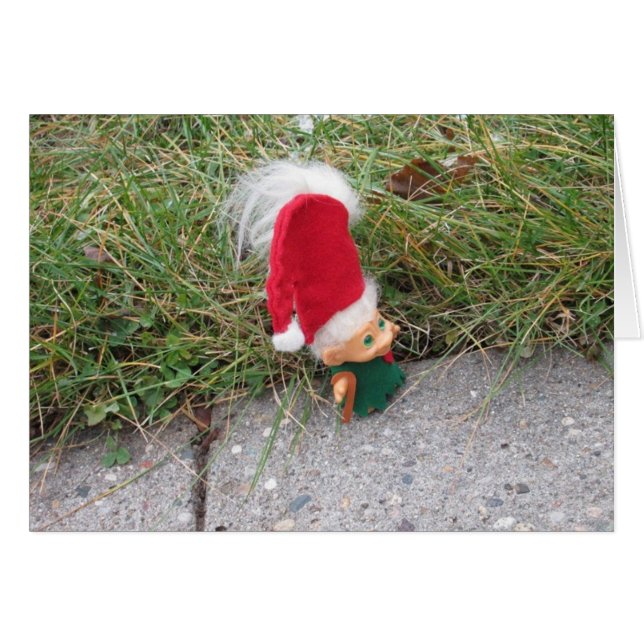 Troll op een stroll (Voorkant Horizontaal)