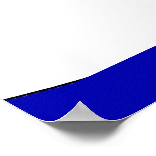 Troll Silencieux, Poster (Coin)