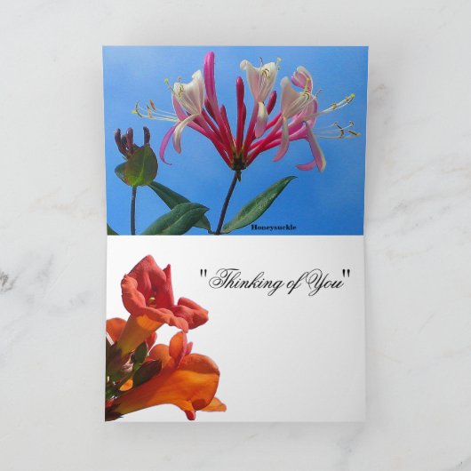 Trompet wijnstok & Honeysuckle Kaart (Binnen)