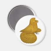 Trompetduif Geel Magneet (Voorkant / Achterkant)