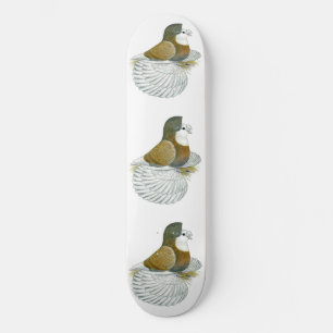 Trompetter Duif AOC Kaalkop Skateboard