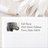 Trompetterend olifant retour adres label (Insitu)