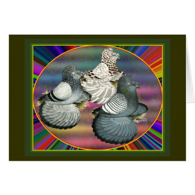 Trompettisten Duiven Drie (Voorkant Horizontaal)