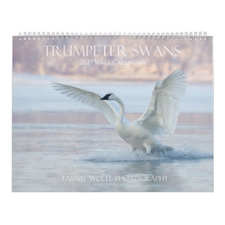 Trompetzwaan Premium grote formaat wandkalender Kalender
