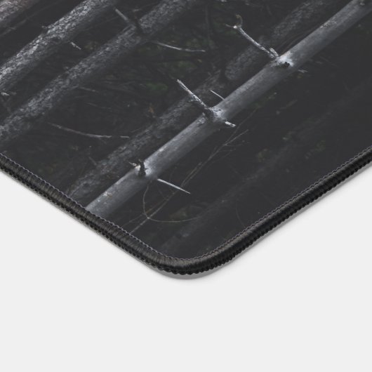 Troncs d'argent et d'or (Coin)